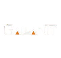 Gallantt Ispat Limited Logo